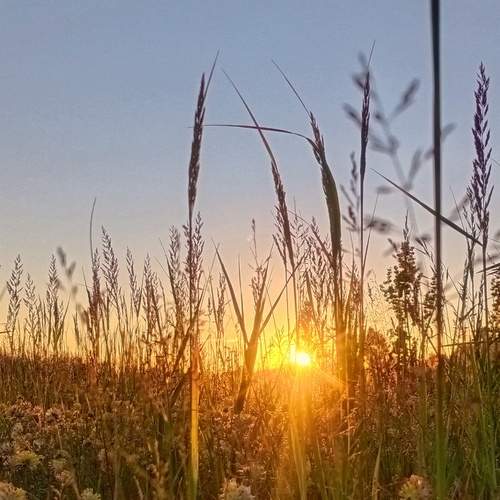 Photo #11907967