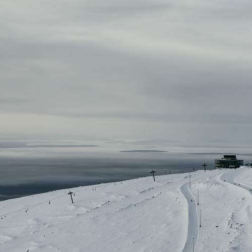 Photo #11908054