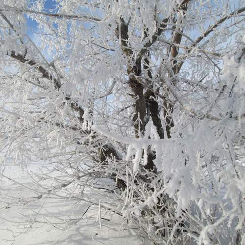Photo #11908168