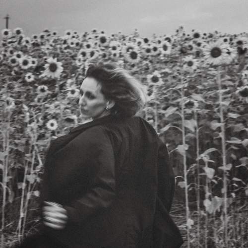 Photo #11908250