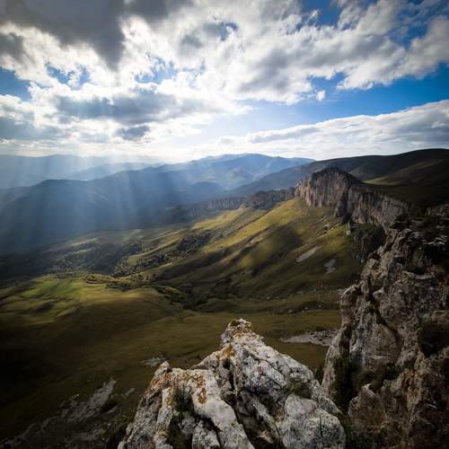Photo #11908292