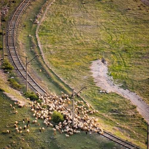 Photo #11908310