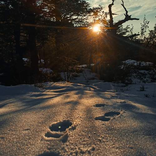 Photo #11908367