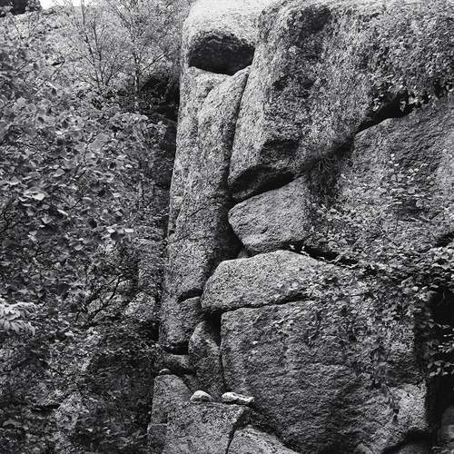 Photo #11908402
