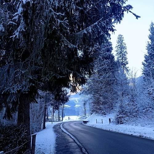Photo #11908446