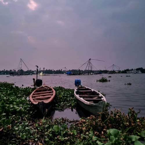 Photo #11908455