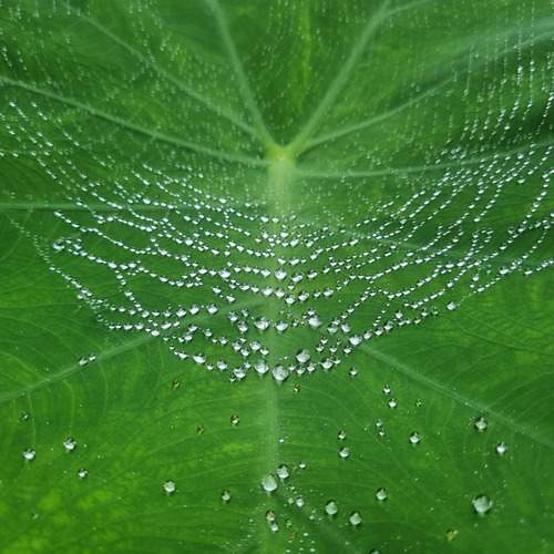 Photo #11908507