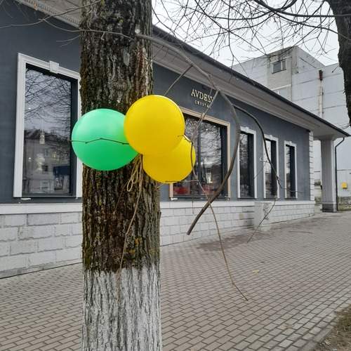 Photo #11908592