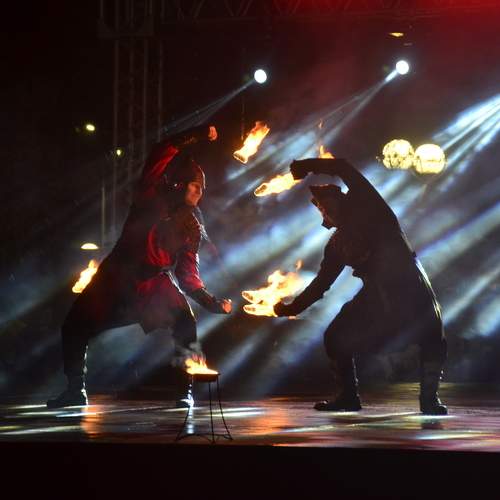 Photo #11908713