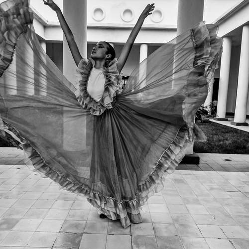 Photo #11908827