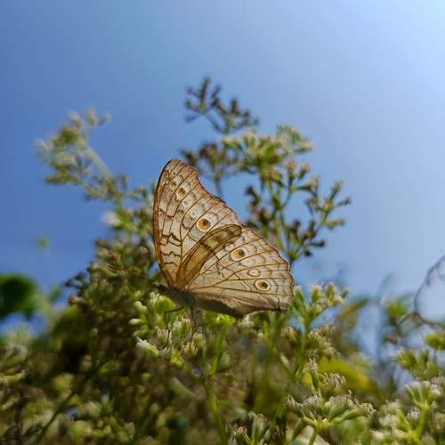 Photo #11909013