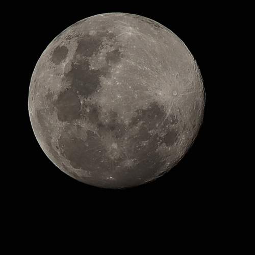 Photo #11909088
