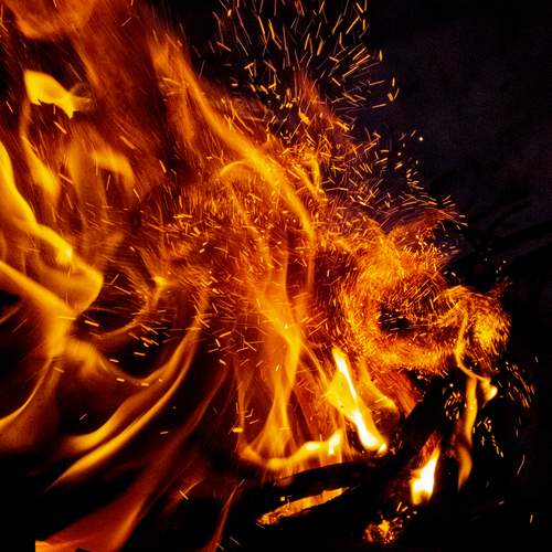 Photo #11909262