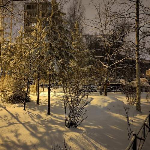 Photo #11909513