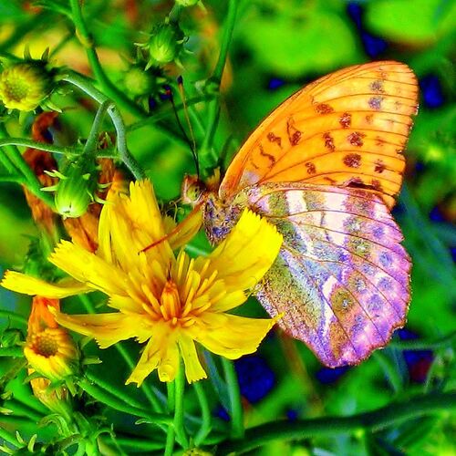 Photo #11909773