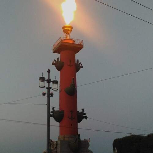 Photo #11909871