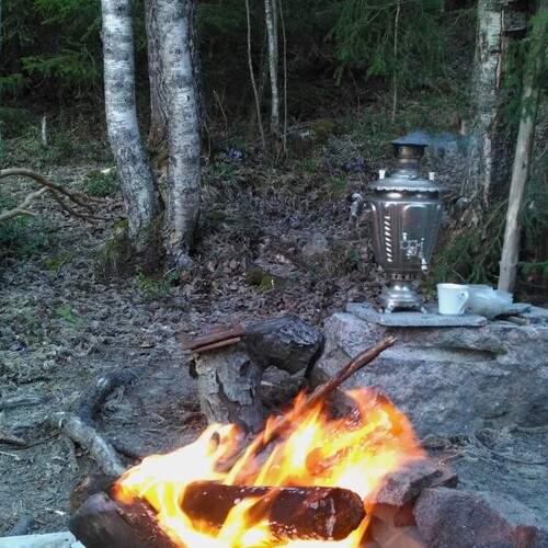 Photo #11909893