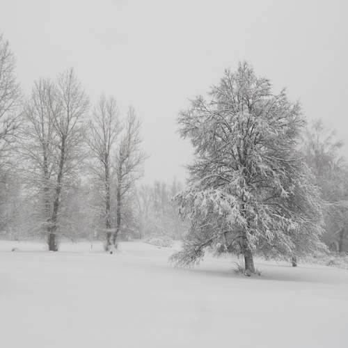 Photo #11909965