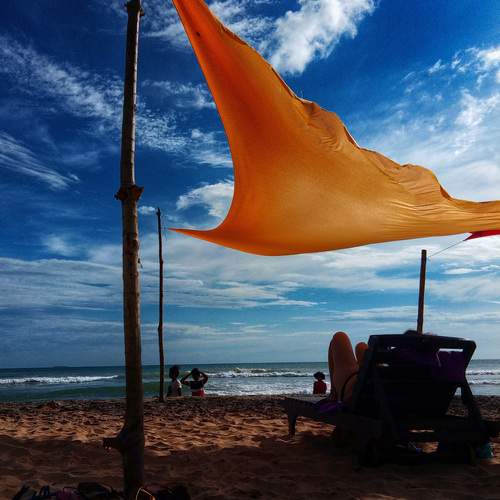 Photo #11910014