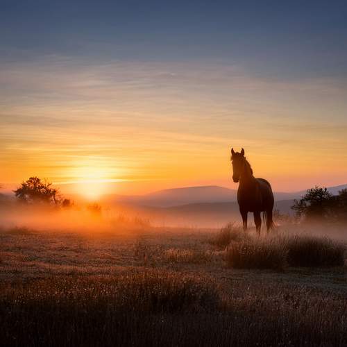 Photo #11910056