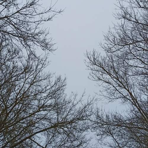 Photo #11910124
