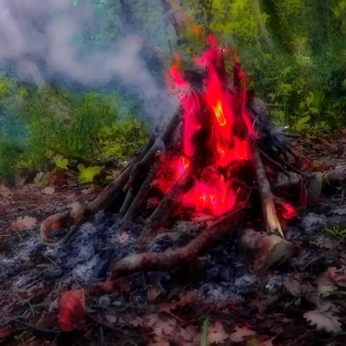 Photo #11910135
