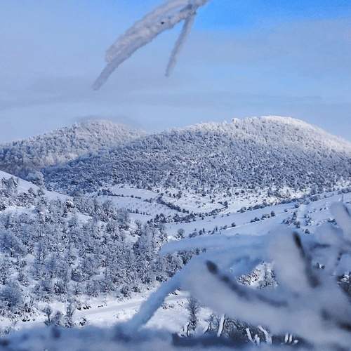 Photo #11910288