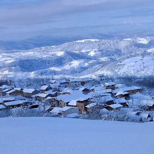 Photo #11910295