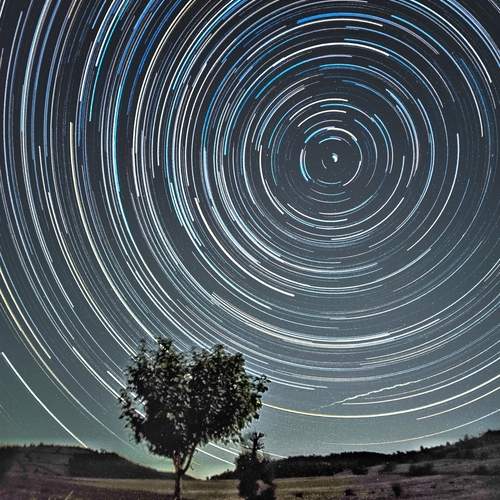 Photo #11910337