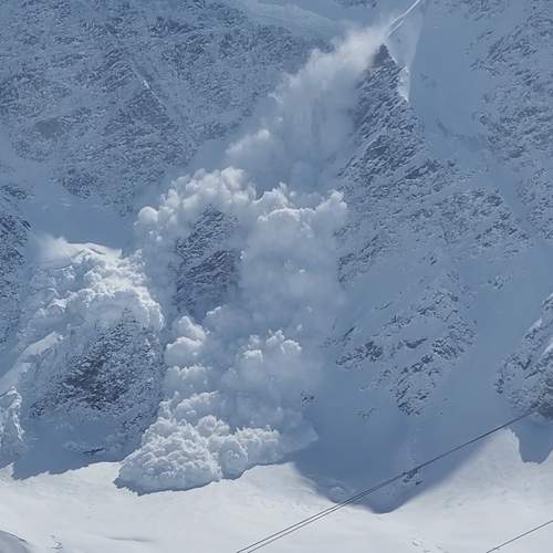 Photo #11910783