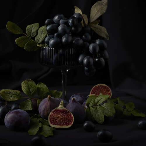 Photo #11910958
