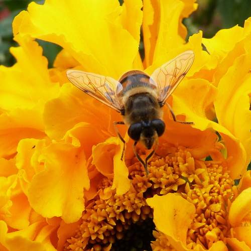 Photo #11911092
