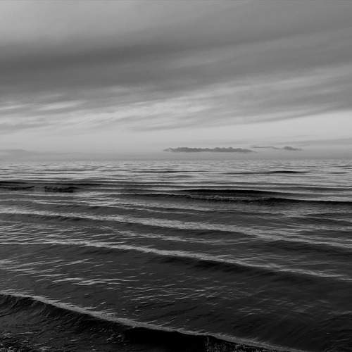 Photo #11911149