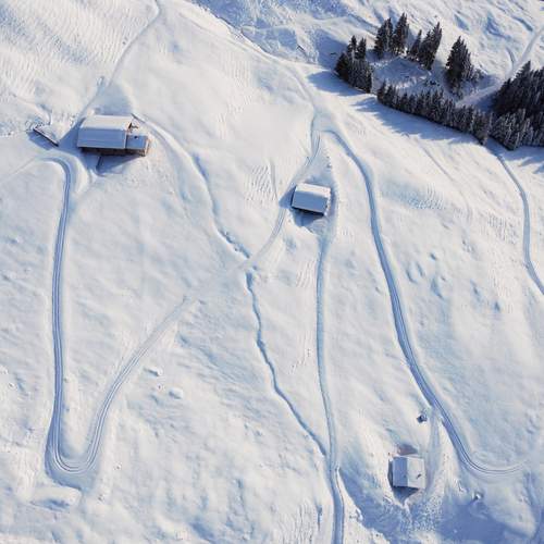 Фотография #11911516