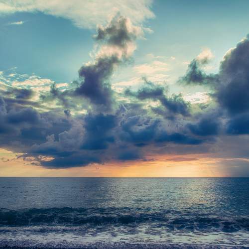 Photo #11911659