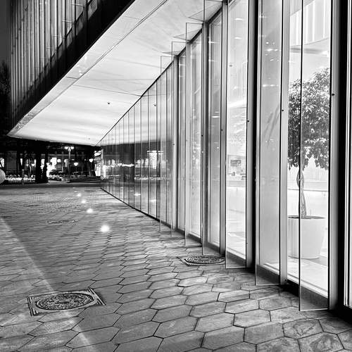 Photo #11911752