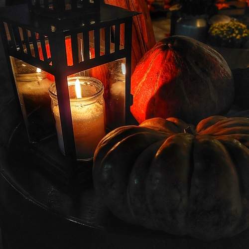 Photo #11911767