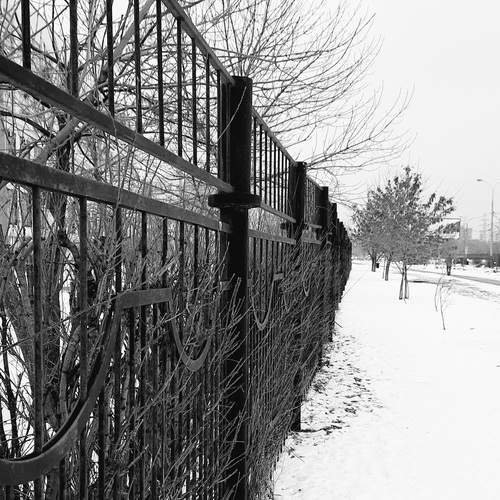 Photo #11911796
