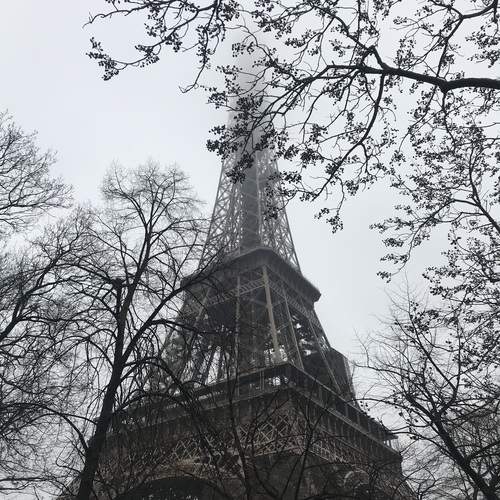 Photo #11911970