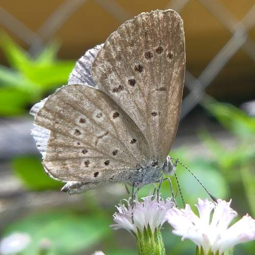 Photo #11912024