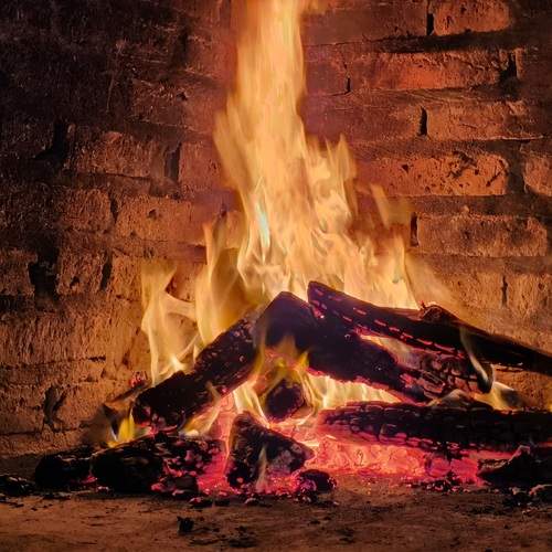 Photo #11912159