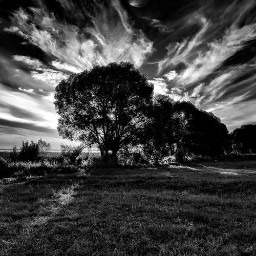 Photo #11912420