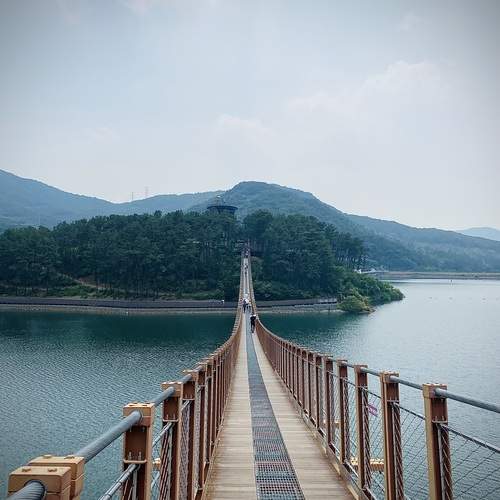 Photo #11912532
