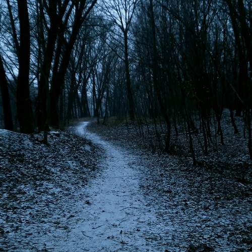 Photo #11912597