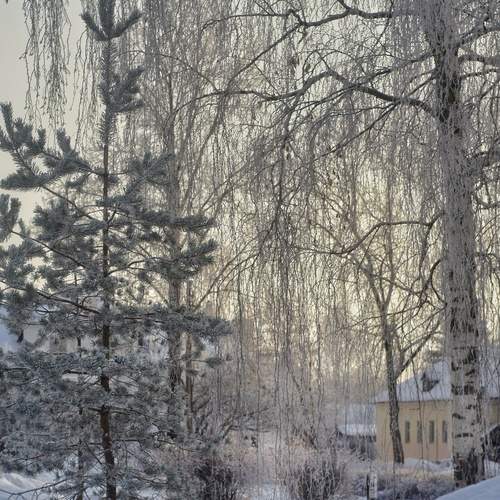 Свет.