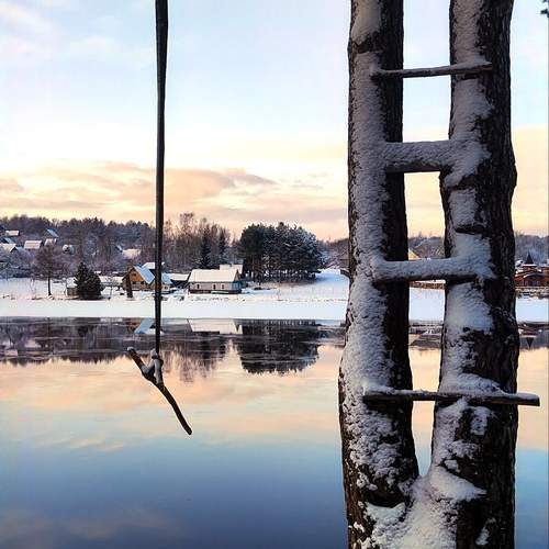 Photo #11913297