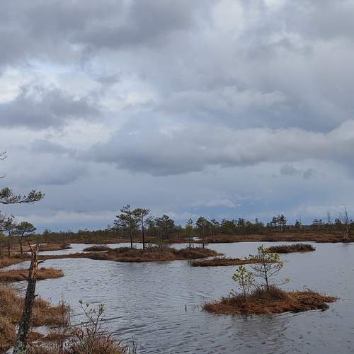 Photo #11913298