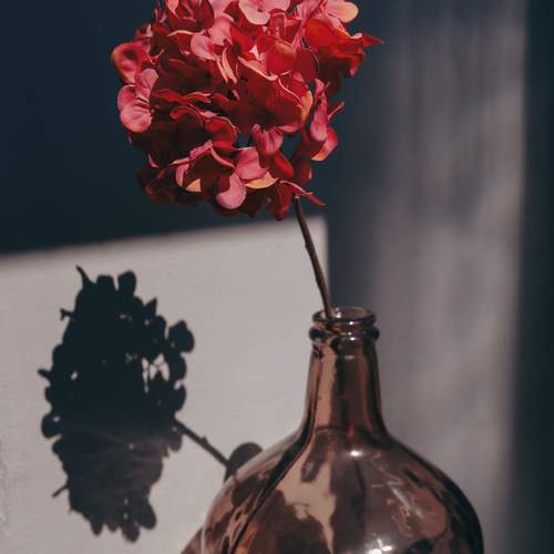 Photo #11913400