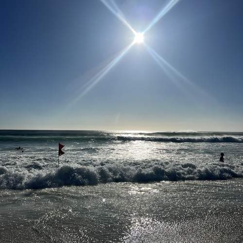 Photo #11913416
