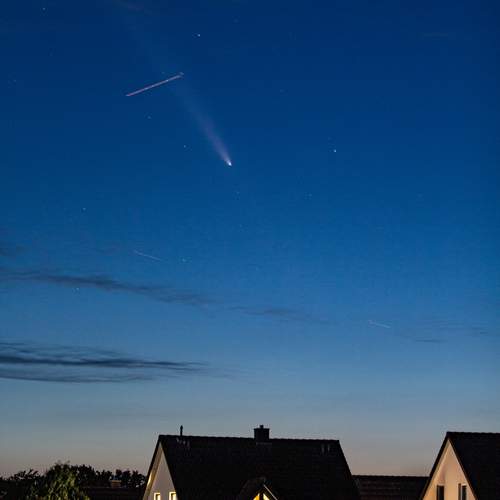 Photo #11913514
